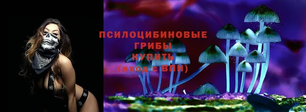 mdpv Михайлов