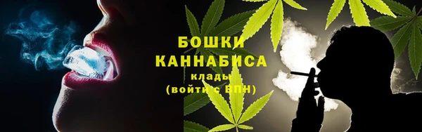 PSILOCYBIN Медногорск
