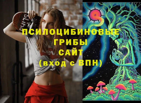 mdpv Мегион