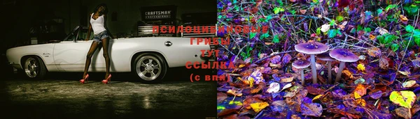 mdpv Михайлов